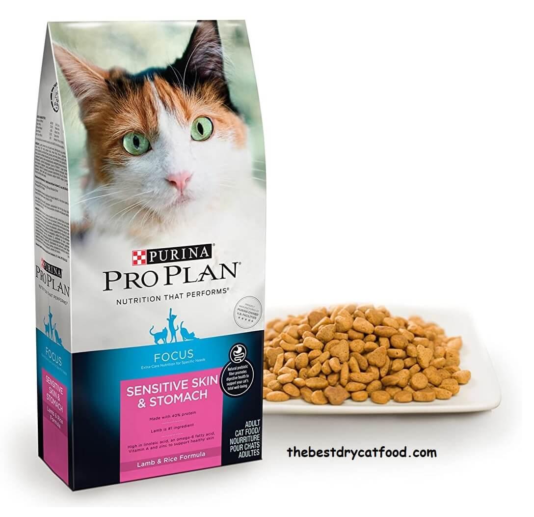 Best Dry Cat Food for Sensitive Stomachs 2022 Reviews &  Buyer Guide