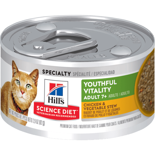 Best Food For Asthma Cats