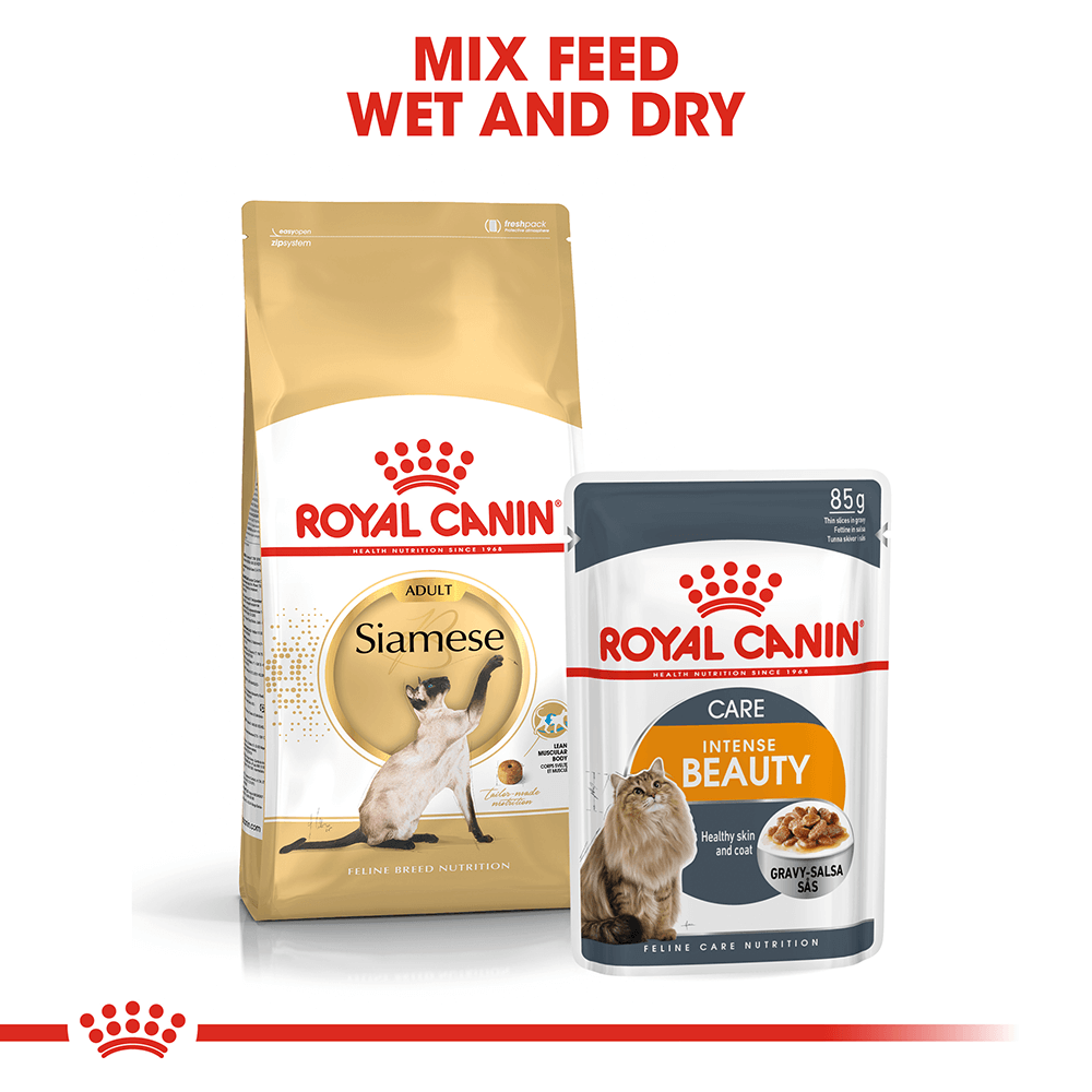Buy Royal Canin Siamese Adult Dry Cat Food Online