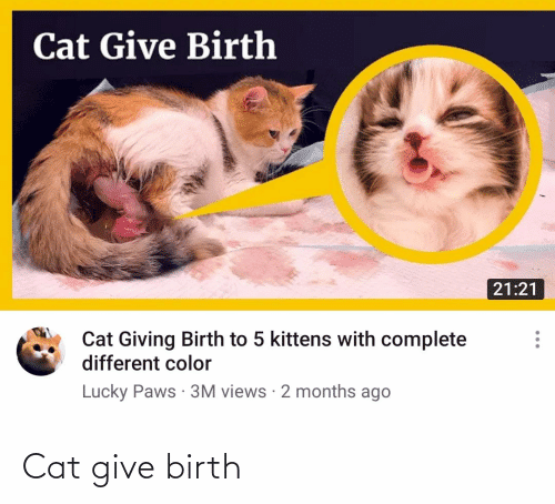 Cat Give Birth 2121 Cat Giving Birth to 5 Kittens With Complete ...