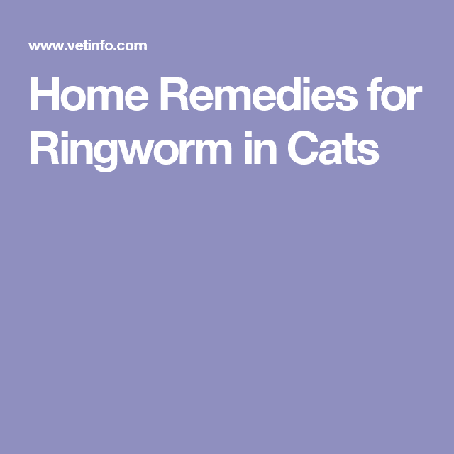 Home Remedies for Ringworm in Cats