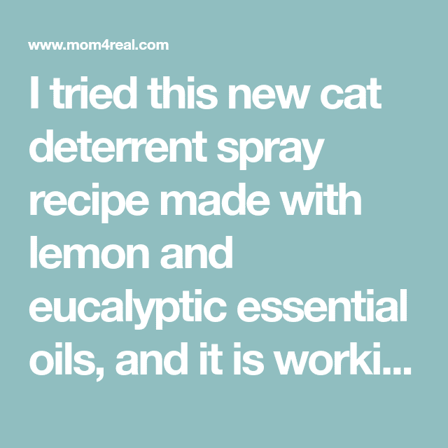 Homemade Cat Deterrent Spray