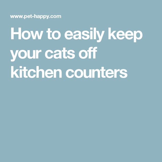 How to easily keep your cats off kitchen counters