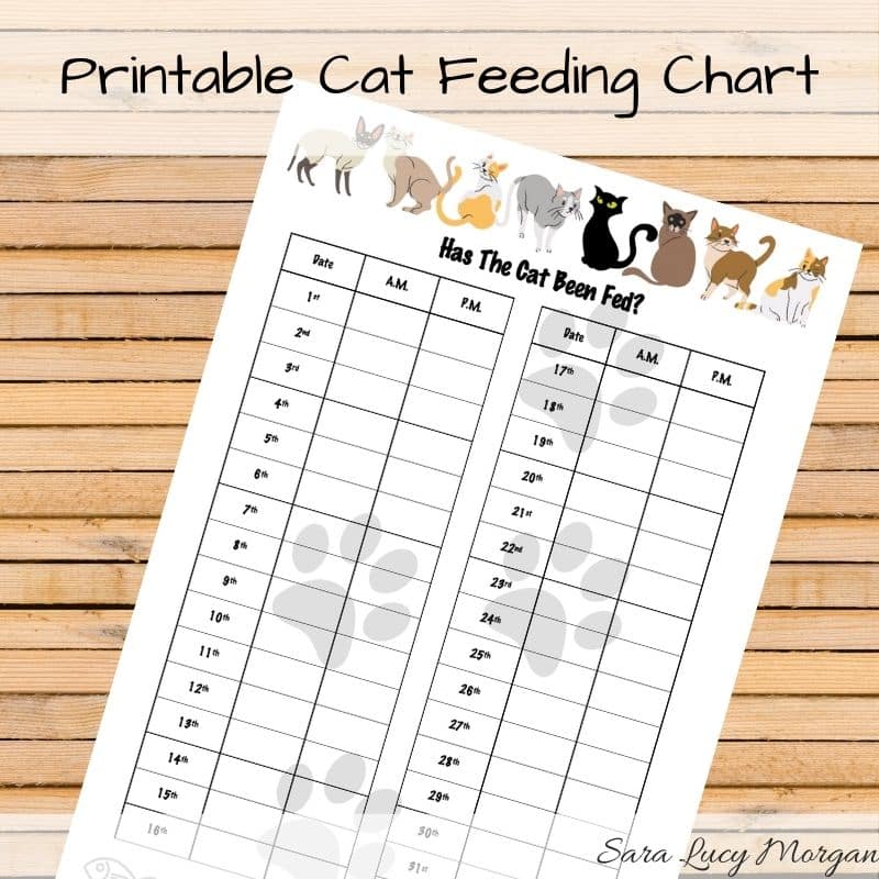 Monthly Printable Cat Feeding Chart