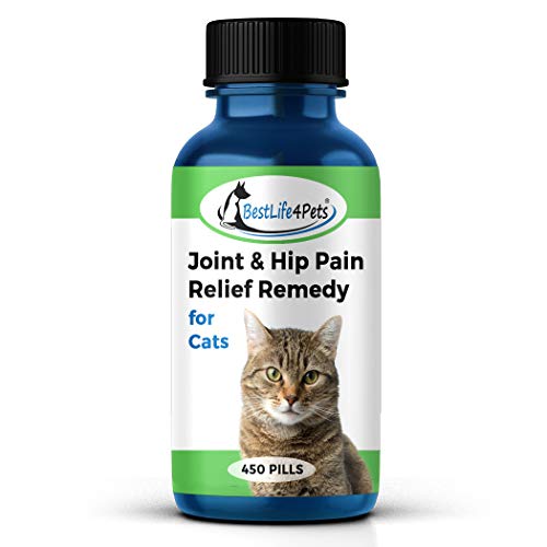 Top 10 Joint Relief For Cats of 2021
