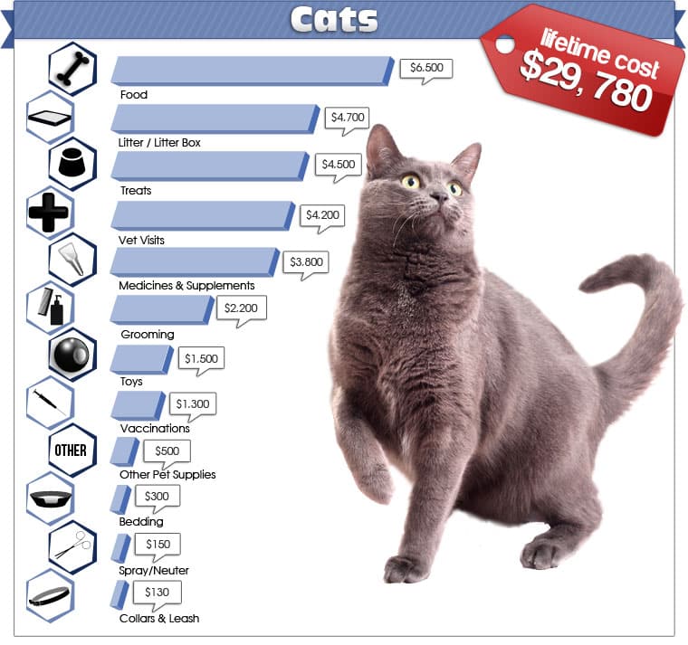 What Is The Average Price For Pet Euthanasia / IN MAY PET REACHES THE ...