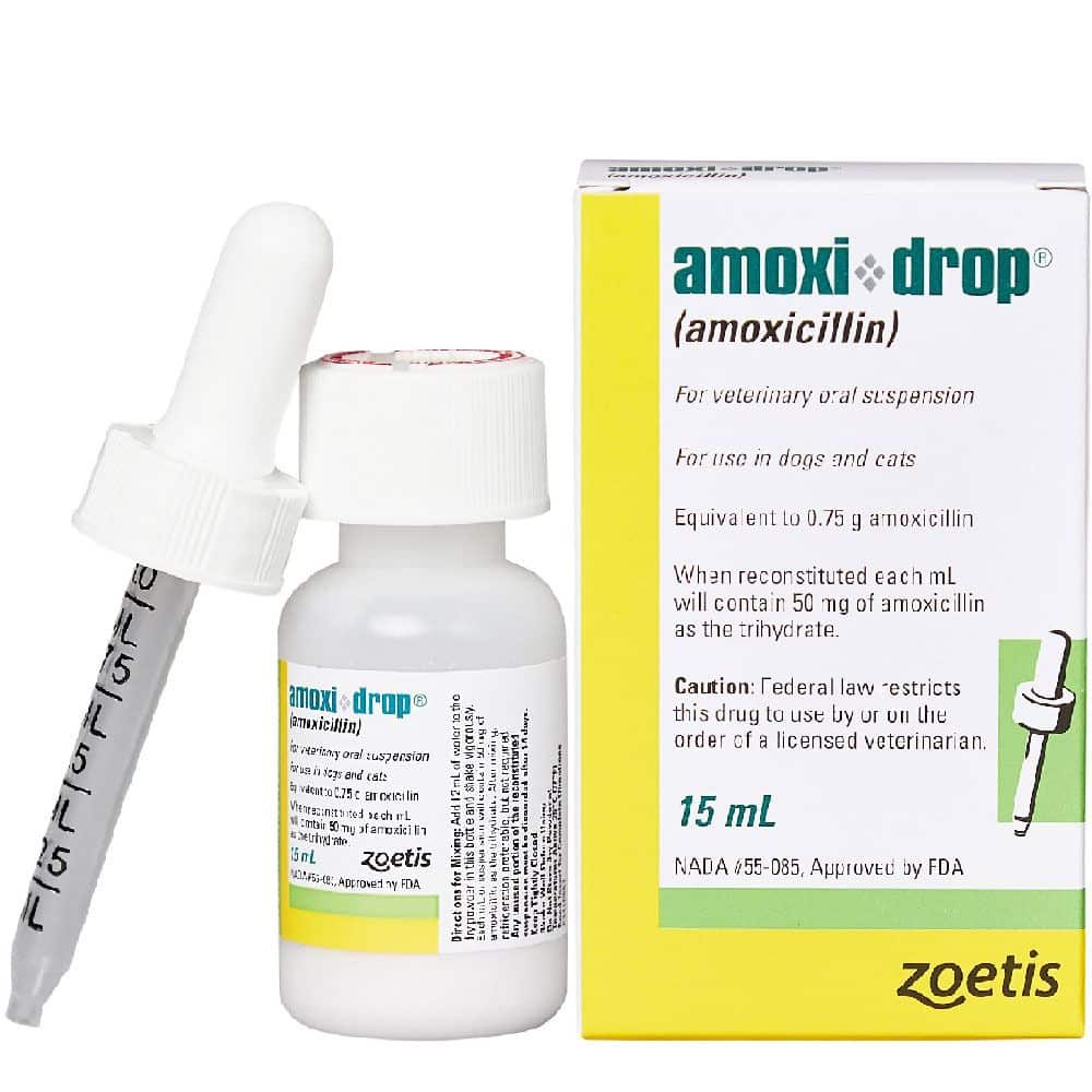 Amoxi Drop (Amoxicillin) 15ml