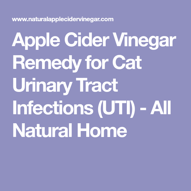 Apple Cider Vinegar Remedy for Cat Urinary Tract Infections (UTI)