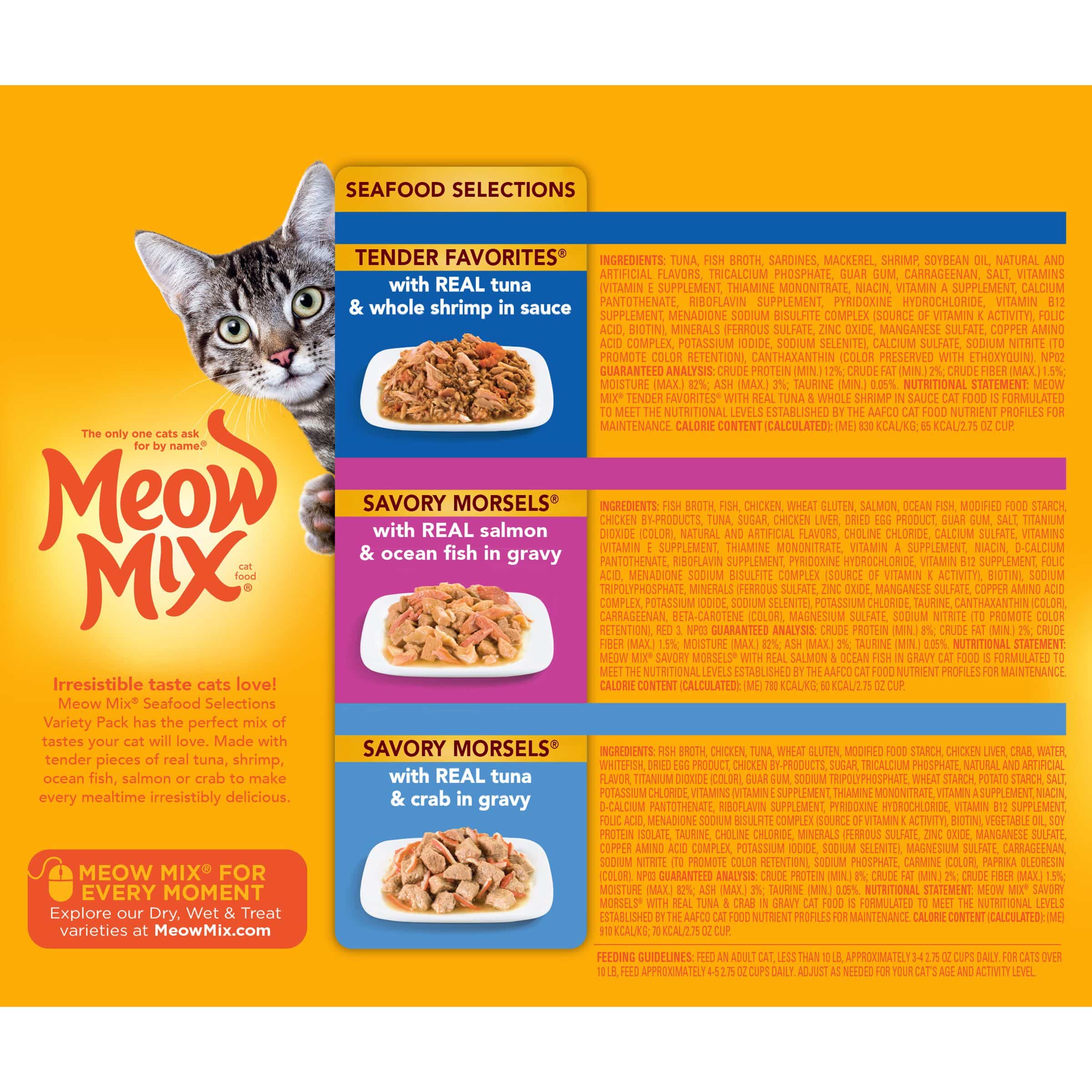 Cat Feeding Guide Wet And Dry
