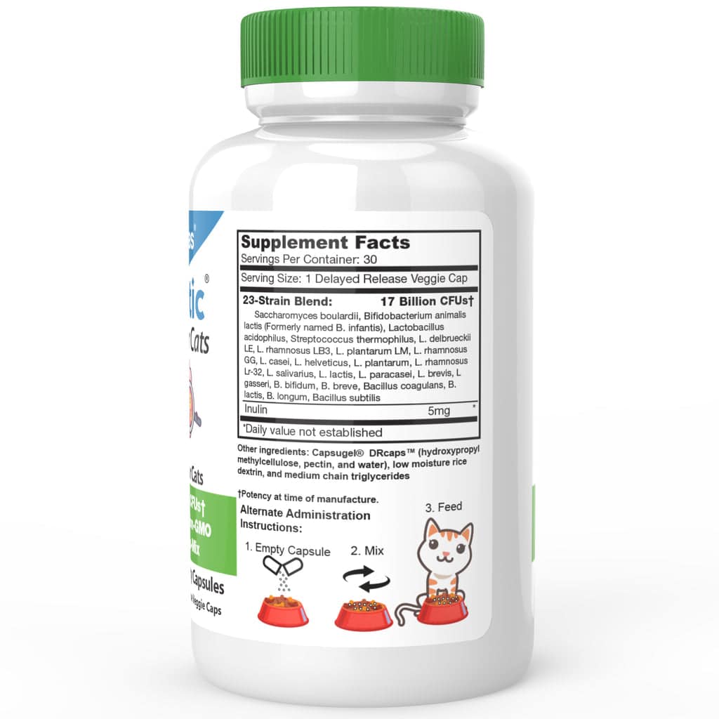 DrFormulas Best Probiotics for Cats